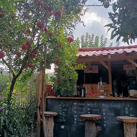 Kapsül Otel Litost Cafe *