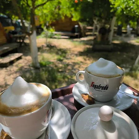 Kapsül Otel Litost Cafe Adrasan