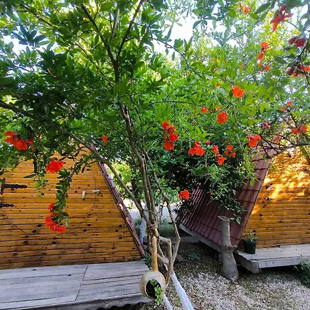 Kapsül Otel Litost Cafe