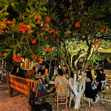 Litost Cafe Kapsül Otel *