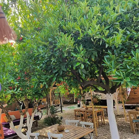 Kapsül Otel Litost Cafe *