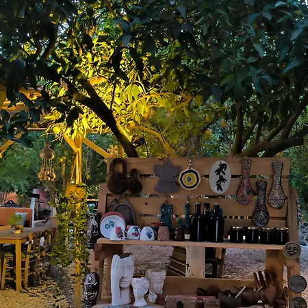 Kapsül Otel Litost Cafe