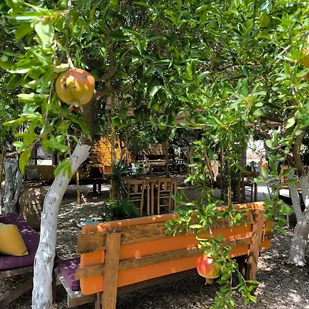Kapsül Otel Litost Cafe